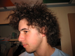 Post-Cornrows destruction