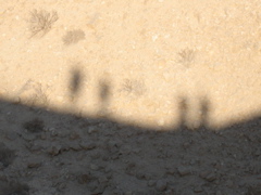 Zoomed silhouette