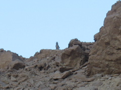 Some kind of rock-sculputure not made by us