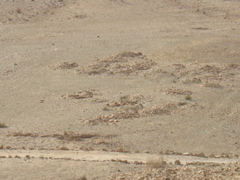 Graves of an ancient people