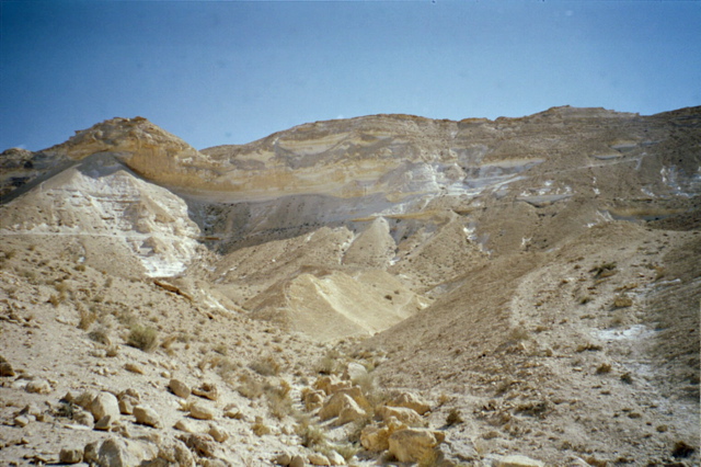 Desert Shadows