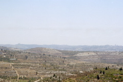 Mount of Olives