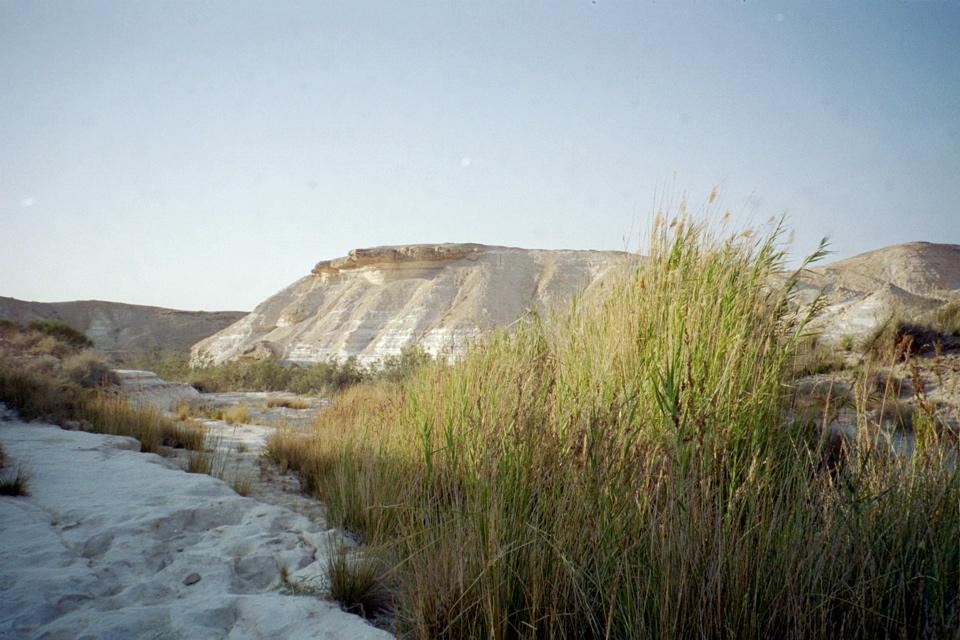 Desert Landscape