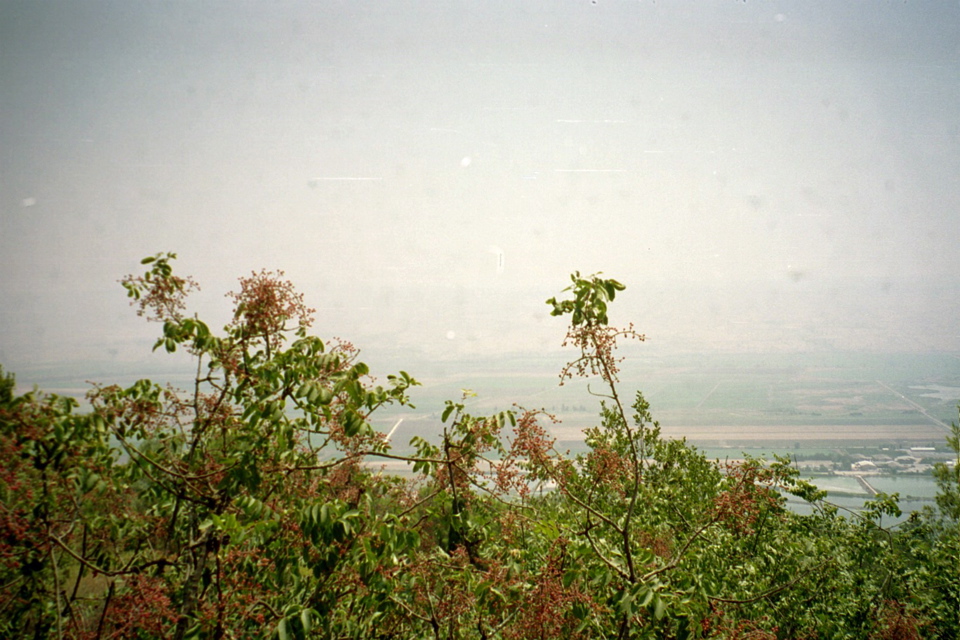 Cool Bush - In Front of the Valley