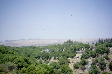 HaGalil