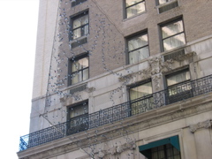 Star of David on the Freedom Trail