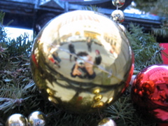 Myself in an ornament