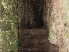 Inside the Dungeon