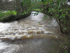 Blarney Rapids