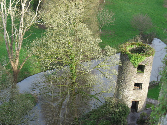 The tower, from the top of the castle