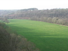 The castle greens, from the top of the castle