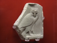 Egyption Owl