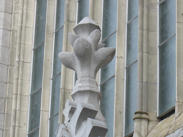 Flower on Cork Cathedral