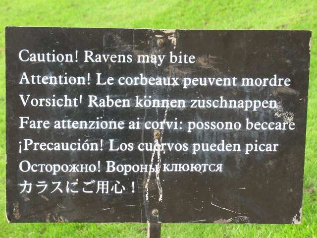 Caution! Ravens may bite