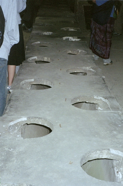 Birkenau Latrine