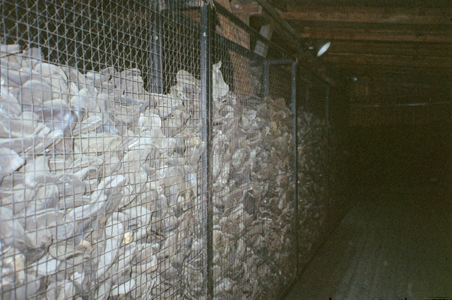 Shoes in Majdanek