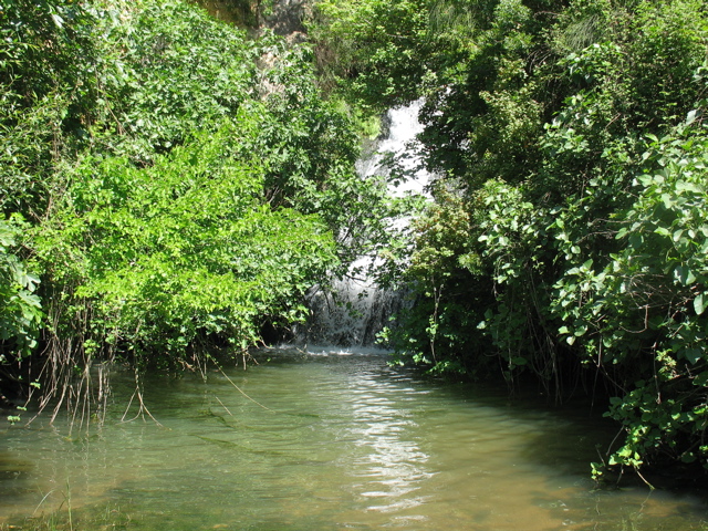 Waterfall and stream